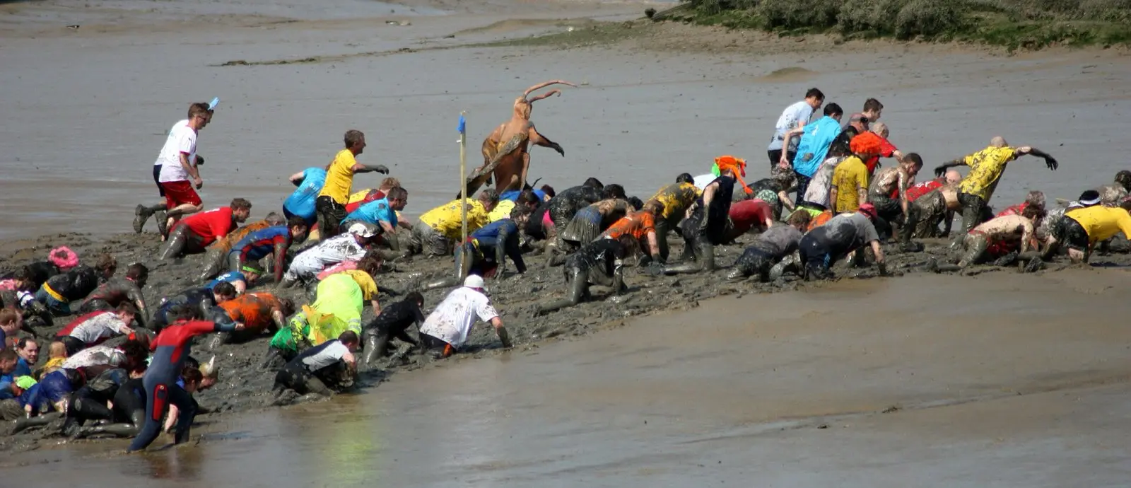 Dozens of competitors in fancy dress crawling through thick estuary mud during the Maldon Mud Race